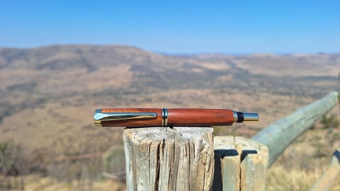 Out and about in Pilanesberg